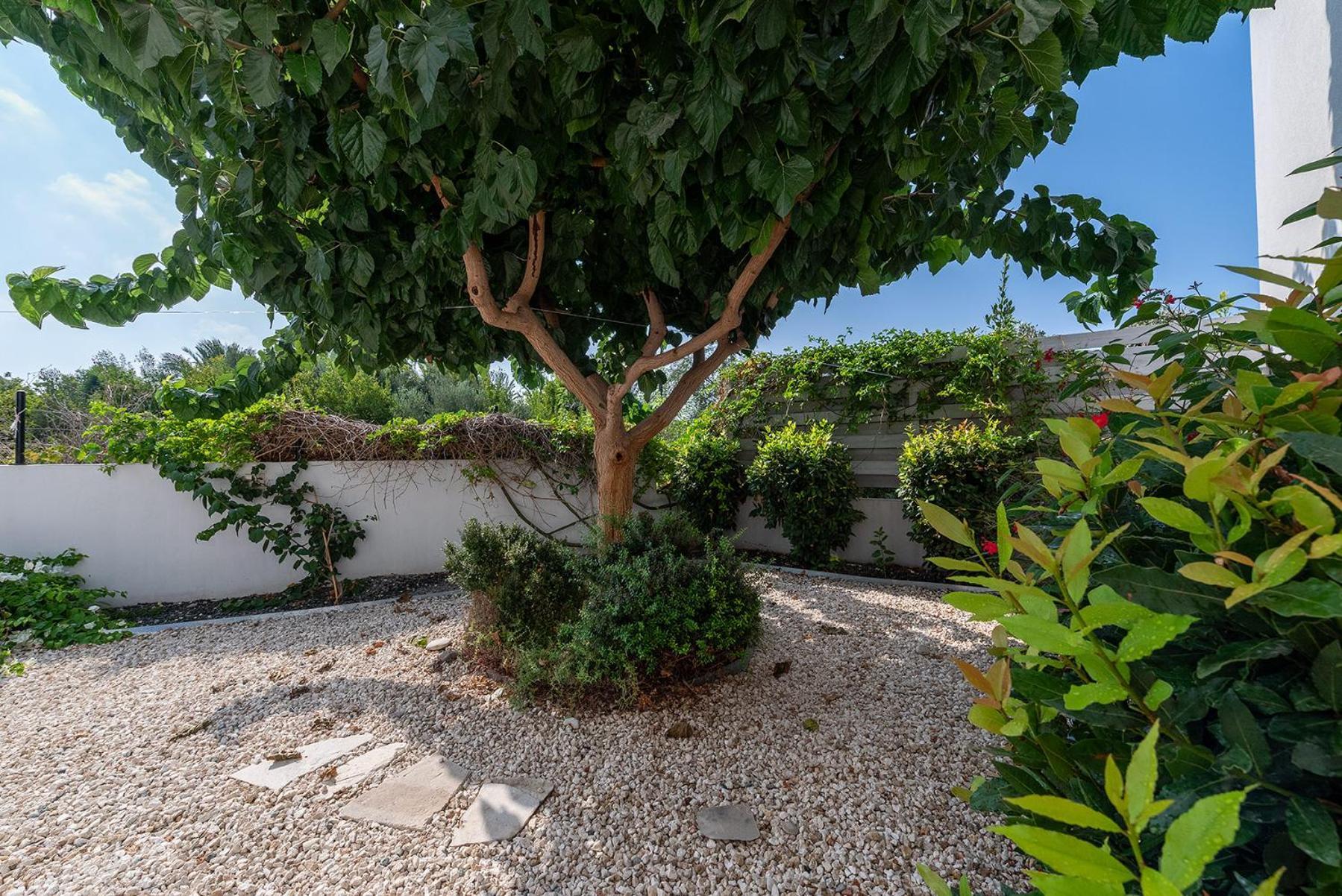 Blue Diamond Beach Villas Paphos Eksteriør bilde